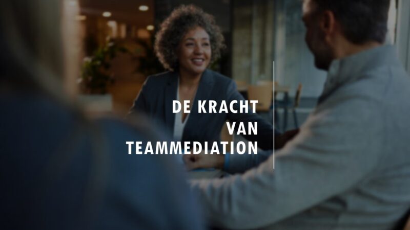 De kracht van teammediation​